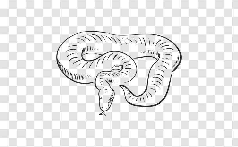 Snake Drawing Line Art - Serpent - Snakes Transparent PNG