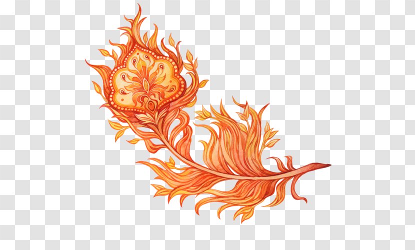 Firebird Feather Art - Bird Transparent PNG