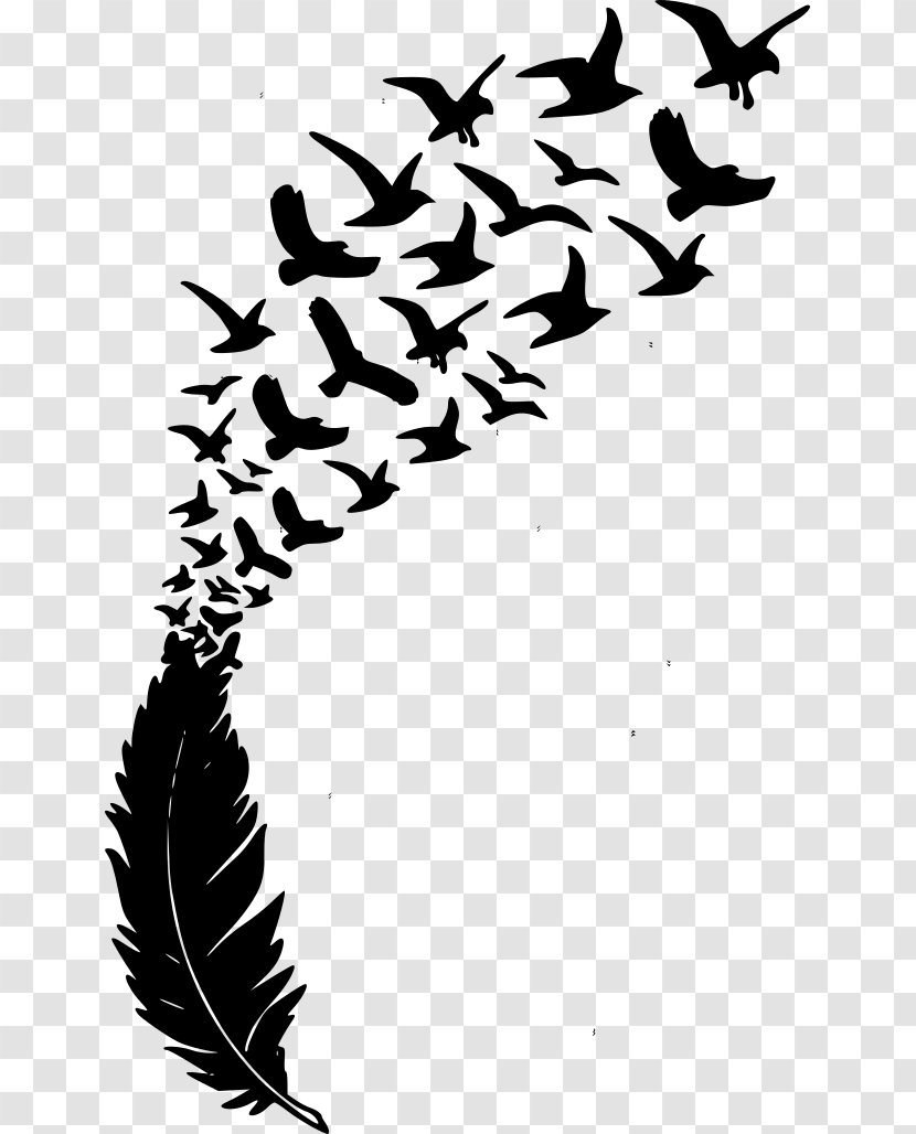 Bird Vector Graphics Feather Stock Illustration - Drawing - Playful Background Transparent PNG