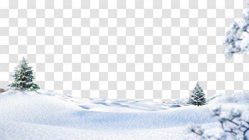 Snow Photography - Freezing - Winter Transparent PNG