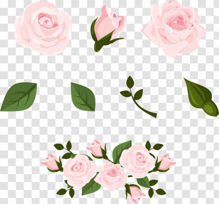 Beach Rose Euclidean Vector Pink - Flat Design - Pale Flower Transparent PNG