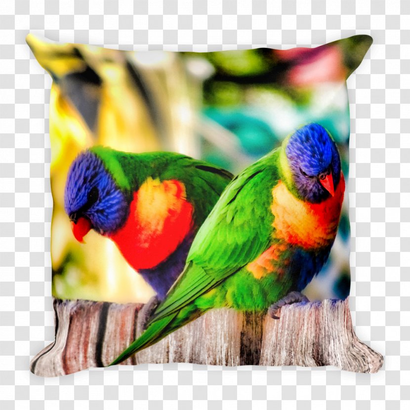 Cushion Throw Pillows Macaw North Haven, New South Wales - Feather - Pillow Transparent PNG