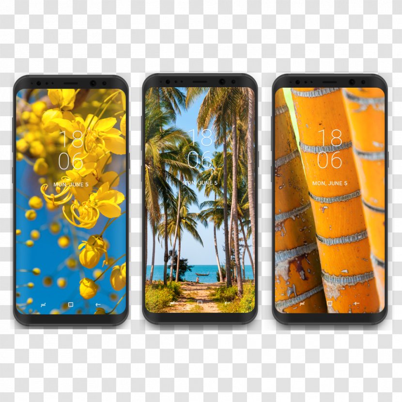 Samsung Galaxy S8+ Desktop Wallpaper Smartphone - Tablet Computers - Tropical Transparent PNG