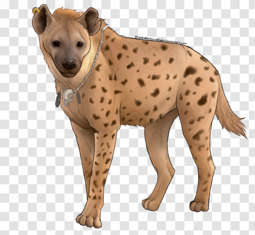 Spotted Hyena Cheetah - Fur Transparent PNG