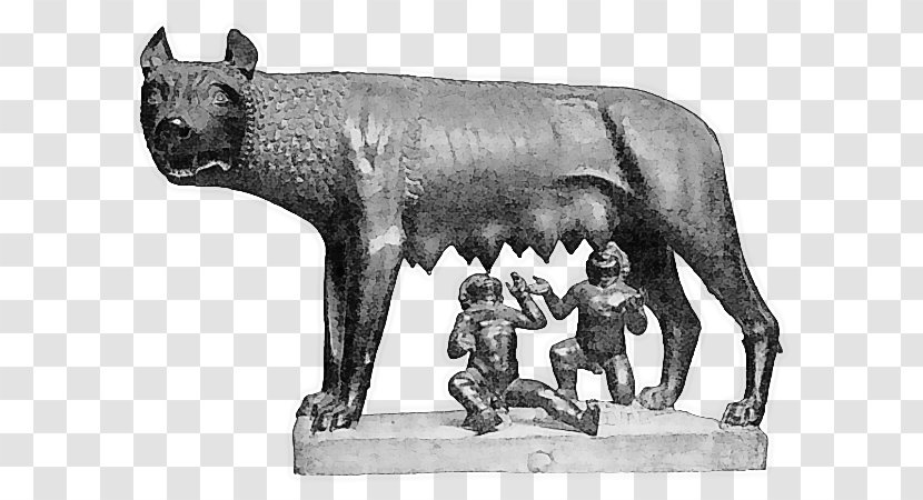 Capitoline Wolf Museums Ancient Rome Palatine Hill Romulus - Roman Mythology Transparent PNG