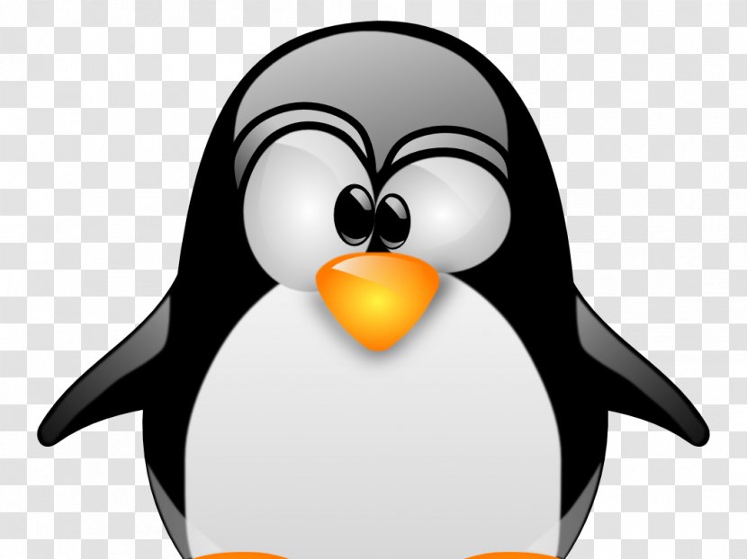 Linux Kernel Installation Unix - Beak Transparent PNG