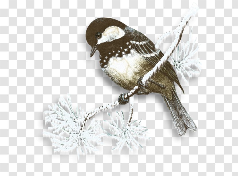 Snow Flurry Winter Bird Clip Art - Snowy Birds In The Transparent PNG