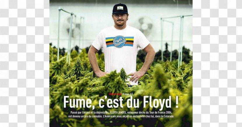 Tour De France Cycling Camisa Amarela L'Équipe Sport - Cannabis Transparent PNG