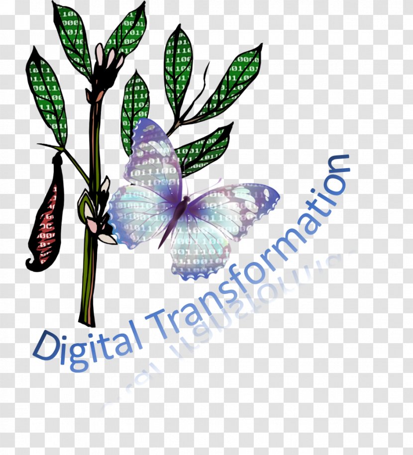 Butterfly Tea - Branch Transparent PNG