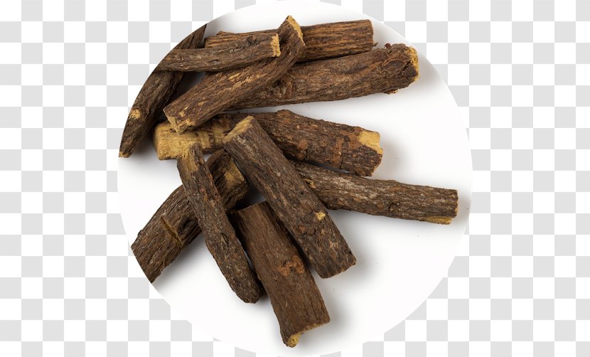 Liquorice Medicinal Plants Herb Spice - Species Transparent PNG