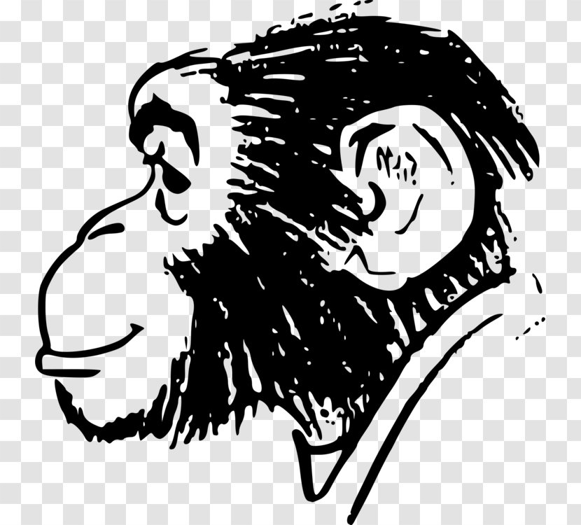 Ape Chimpanzee Drawing Vector Graphics Monkey - Human Silhouette Behavior Transparent PNG