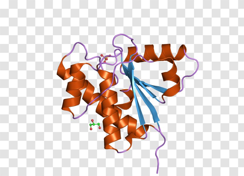 Art Museum ACP1 Acid Phosphatase 1, Soluble Gene - Cannabinoid Receptor Type 2 Transparent PNG