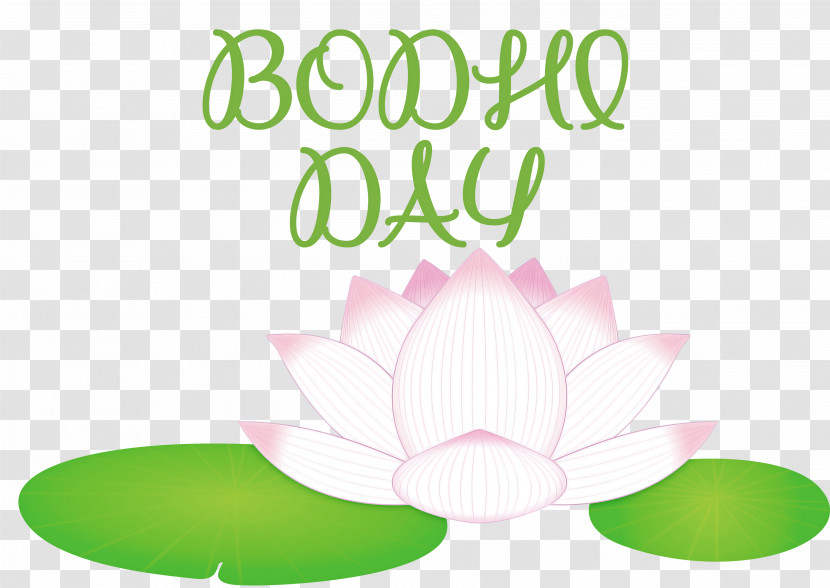 Bodhi Day Transparent PNG