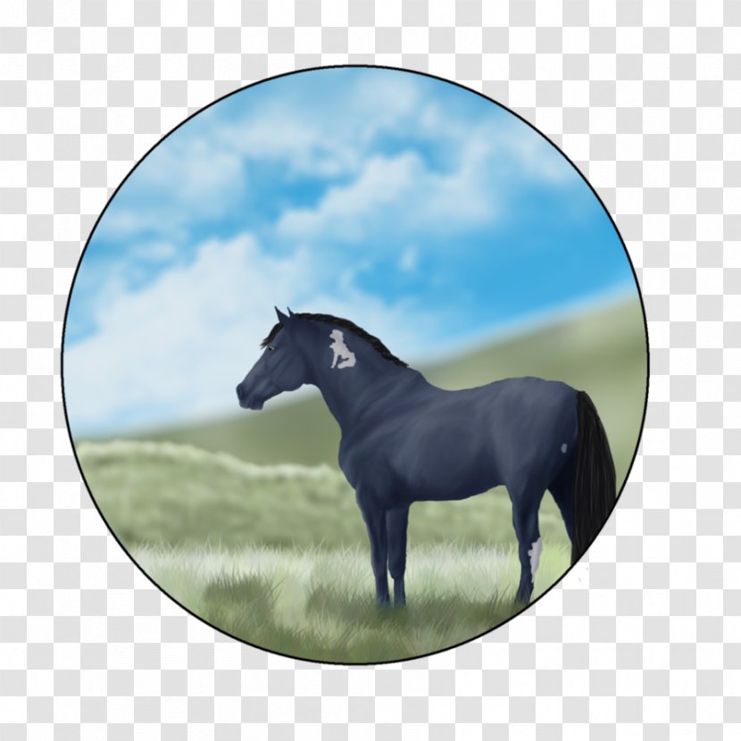 Mustang Stallion Pony Mare Mane Transparent PNG