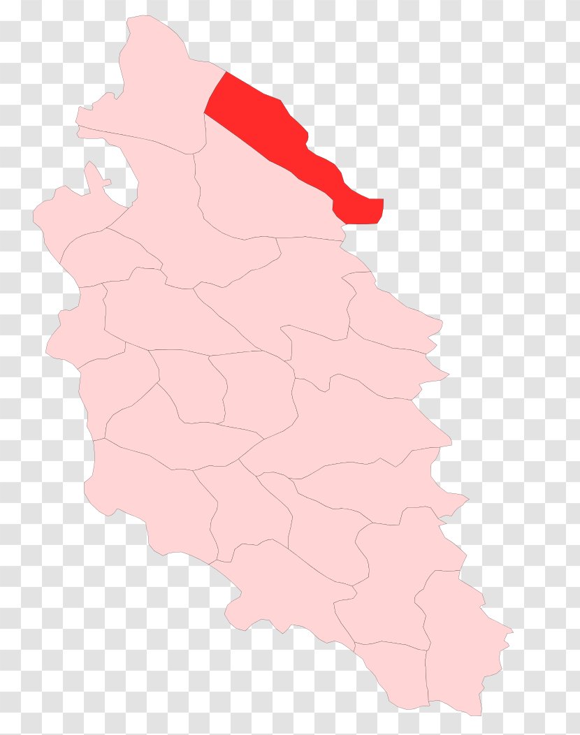 Pink M Map Tuberculosis RTV Transparent PNG