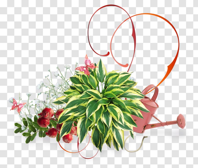 Flower Floral Design Green Plant - Arranging Transparent PNG