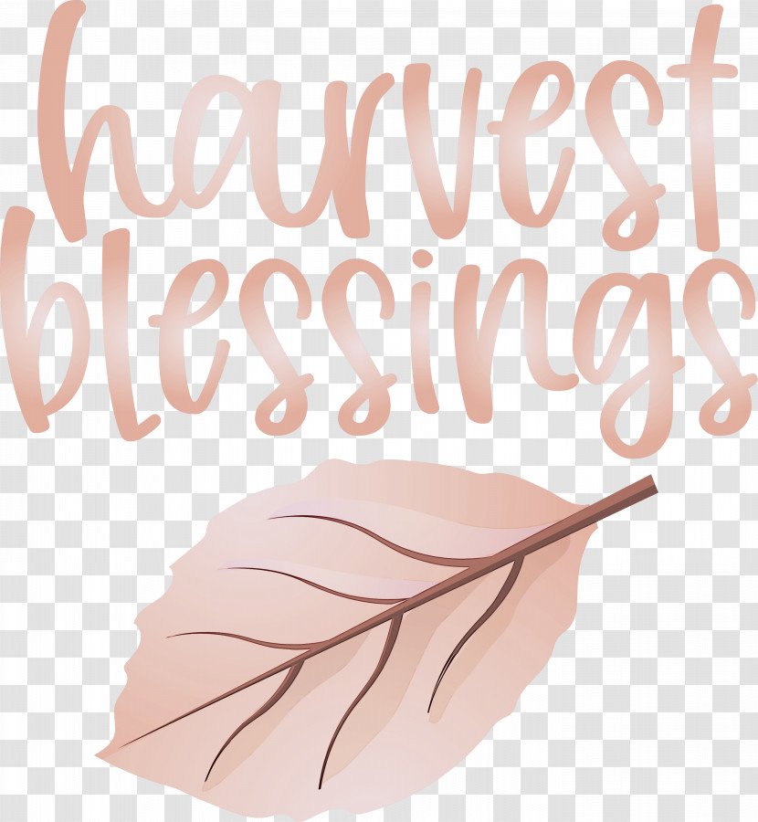 Harvest Autumn Thanksgiving Transparent PNG