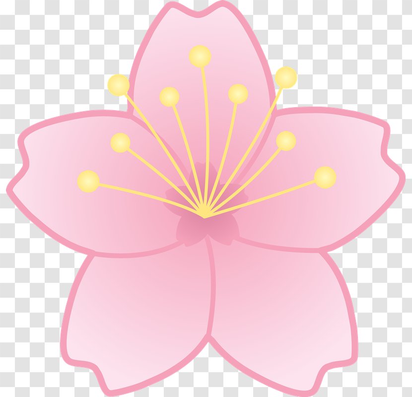 Cherry Blossom Flower Clip Art - Pink Flowers Cartoon Transparent PNG