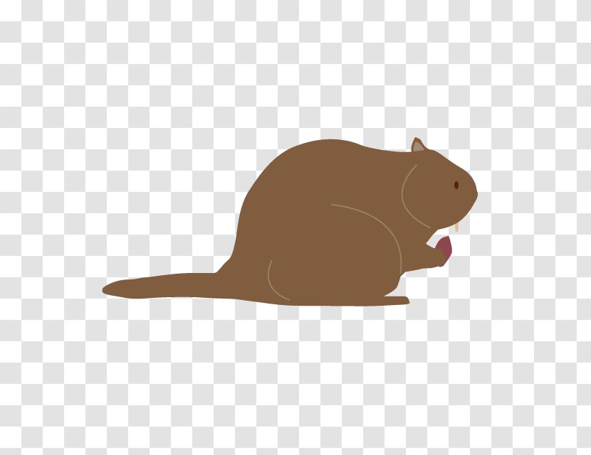 Beaver Rodent Gerbil Vector Graphics Mouse Transparent PNG