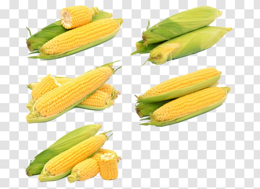 Corn On The Cob Maize Sweet Kernel Ear - Fruit Transparent PNG