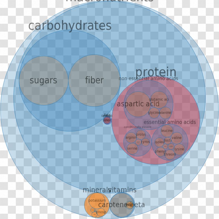 Brand Water Organization - Diagram Transparent PNG