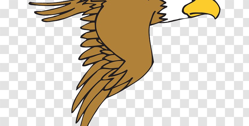 Bald Eagle Drawing Clip Art - Computer - Birds Cartoon Transparent PNG