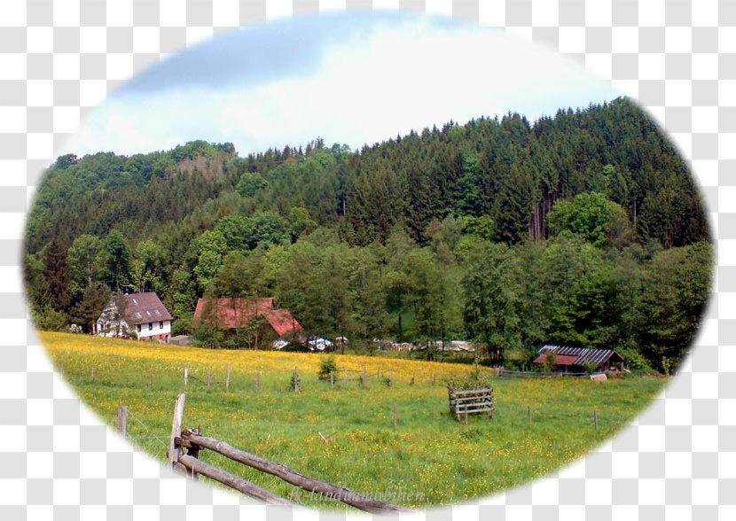 Crailsheim Real Estate Referenzen Farm Weiler Bei Monzingen - Panorama - Remsmurrkreis Transparent PNG
