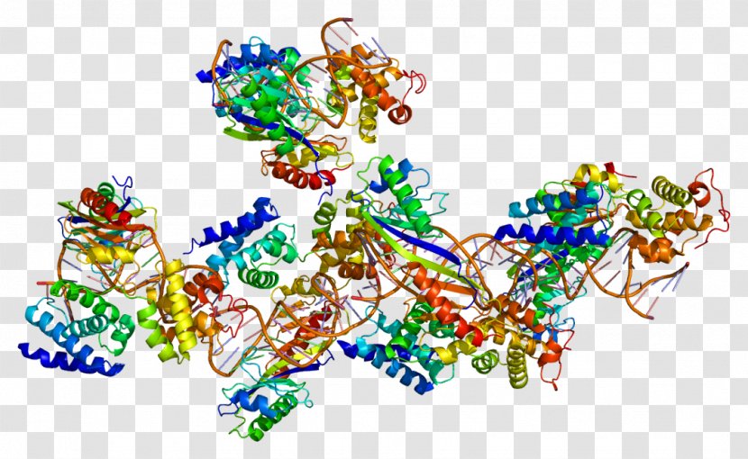 TATA-binding Protein Transcription Factor II B D - Taf - Vitamin Transparent PNG