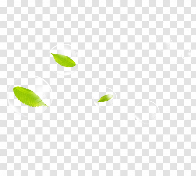 Green Area Angle Pattern - Point - Leaf Drops Transparent PNG
