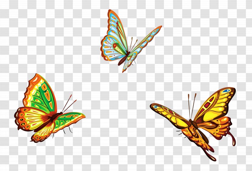 Butterfly Euclidean Vector Graphic Design Illustration - Insect - Three Butterflies Clipart Picture Transparent PNG