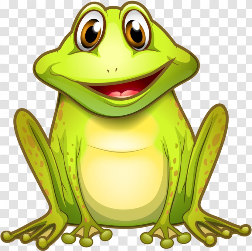 Frog Cartoon - Gray Treefrog Smile Transparent PNG