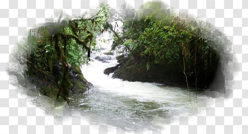 La Paz Waterfall, Costa Rica Song For The Mountain Desktop Wallpaper River - Tree - Sea Transparent PNG
