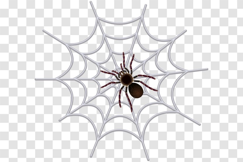 Spider Web Cricut Clip Art - Silhouette Transparent PNG