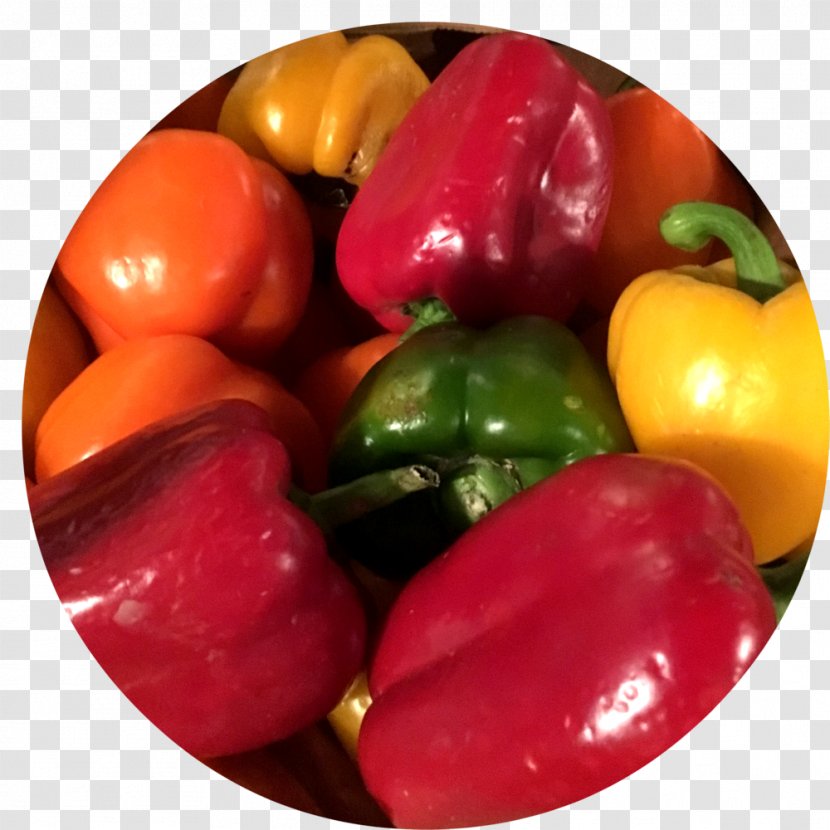 Habanero Piquillo Pepper Bell Vegetarian Cuisine Paprika - Food Transparent PNG