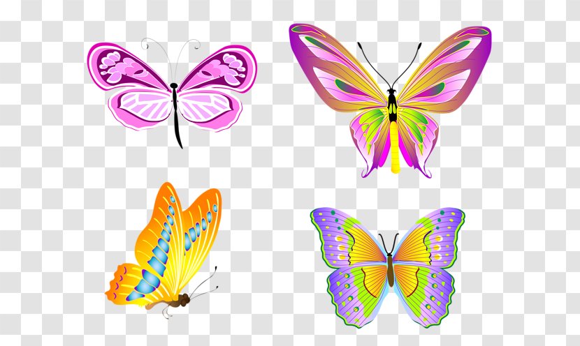 Brush-footed Butterflies Butterfly Drawing Clip Art - Insect - Set Off Transparent PNG