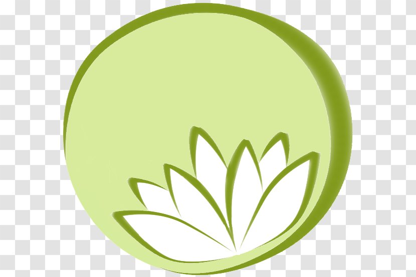 Sol Healing And Wellness Center Austin Licensed Professional Counselor Pflugerville Anna Collins, MA, LPC - Tree Transparent PNG