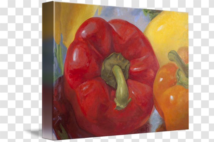 Habanero Bell Pepper Chili Still Life Paprika - Painting - In Kind Transparent PNG