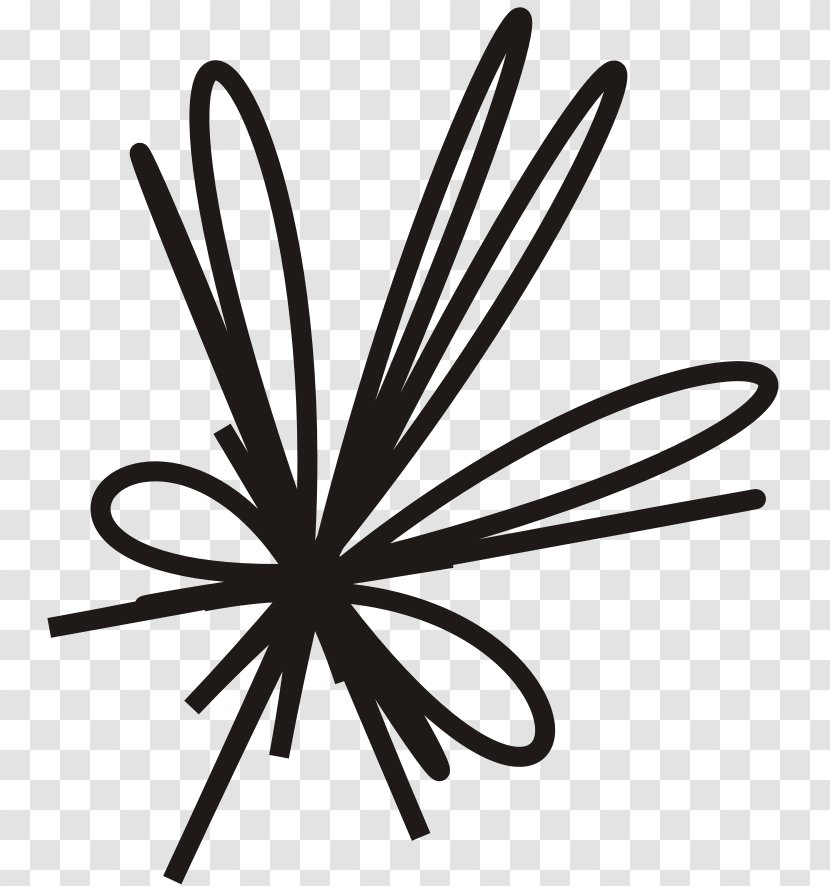 Clip Art - Plant - Free Creative Bow Buckle Transparent PNG