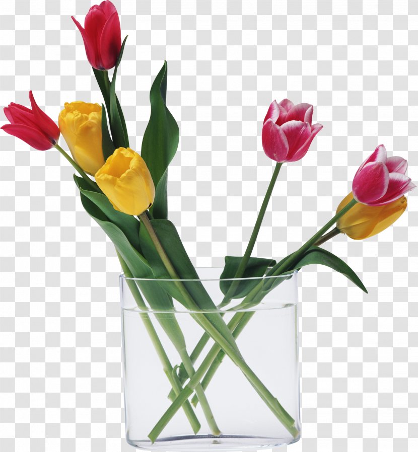 Cut Flowers Tulip Love Floristry - Water Lilies Transparent PNG