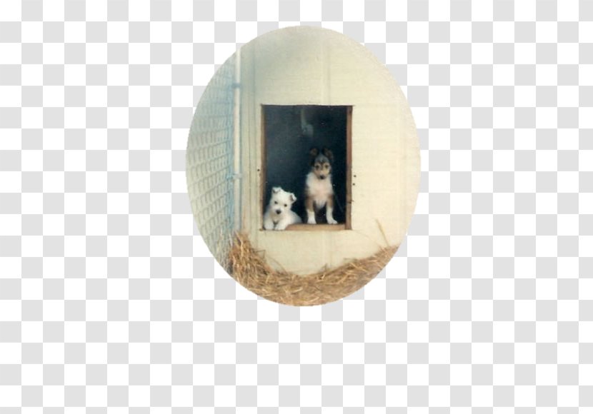 West Highland White Terrier North Carolina The Way To Rose Picture Frames Transparent PNG