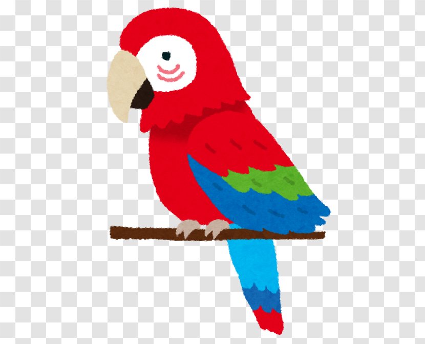 惯用语 Bird Echolalia Person Cockatoo - Perico Transparent PNG