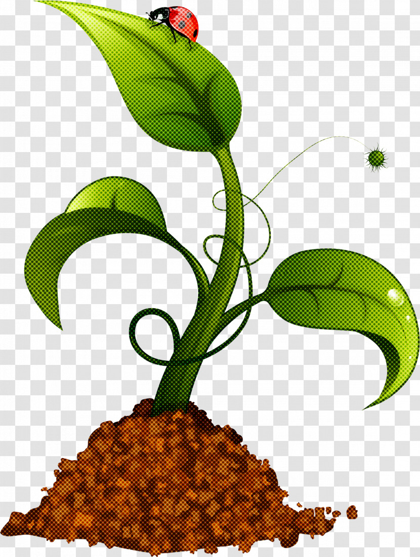 Natural Environment Ecology Environmental Protection Conservation Nature Transparent PNG