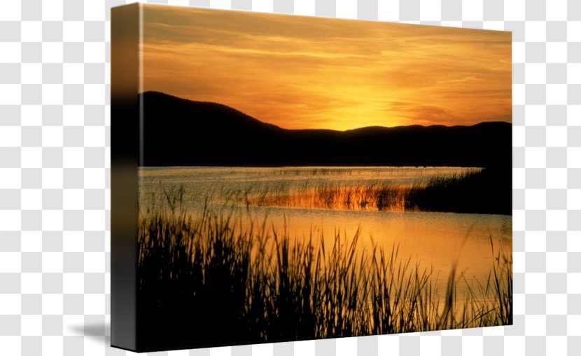Nature Photography - Dawn - Lake Christine Fire Map Transparent PNG