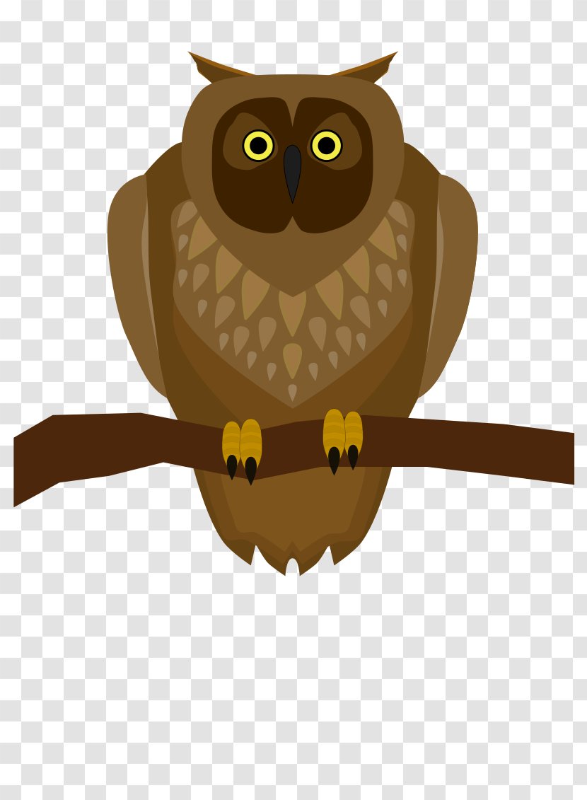 Owls In The Family Bird Clip Art - Branch - Owl Transparent PNG