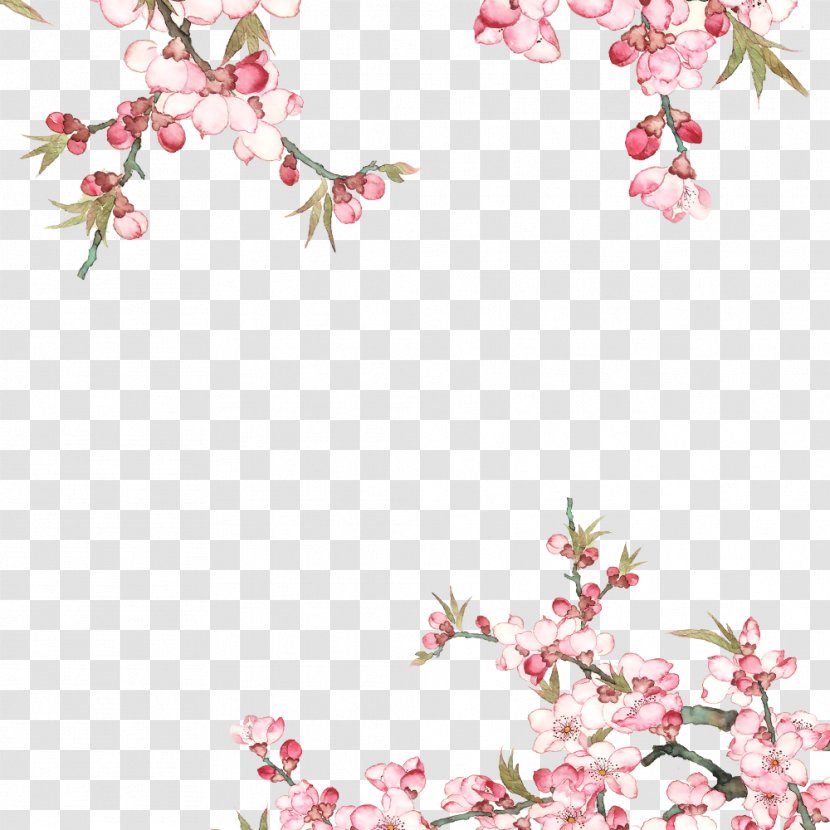 Cherry Blossom Image Vector Graphics Poster - Painting - Peach Transparent PNG