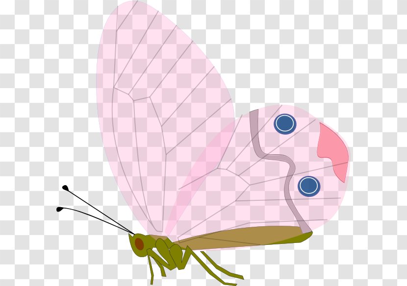 Butterfly Insect Clip Art - Pink - Red Antennae Transparent PNG