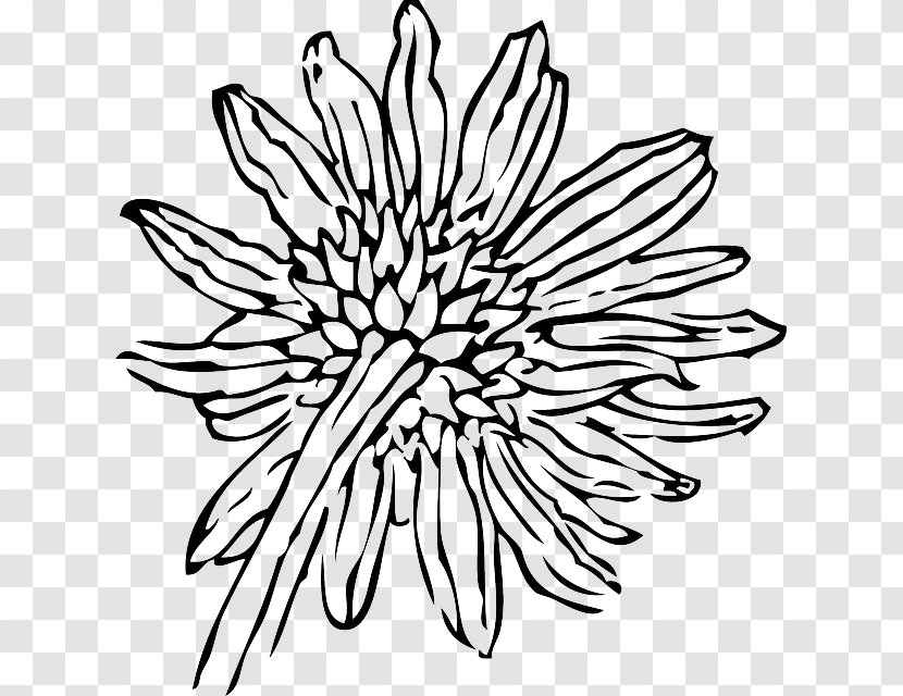 Common Sunflower Drawing Clip Art - Flower Transparent PNG