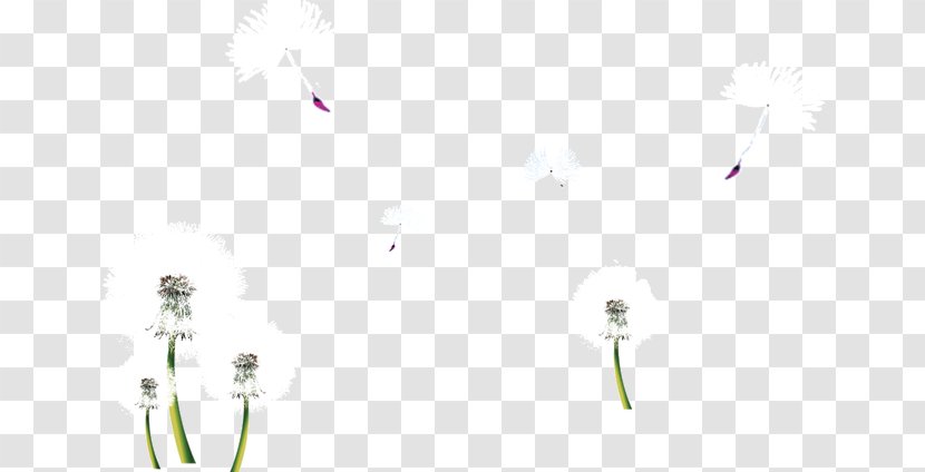 Flooring Pattern - Spring Dandelion Transparent PNG