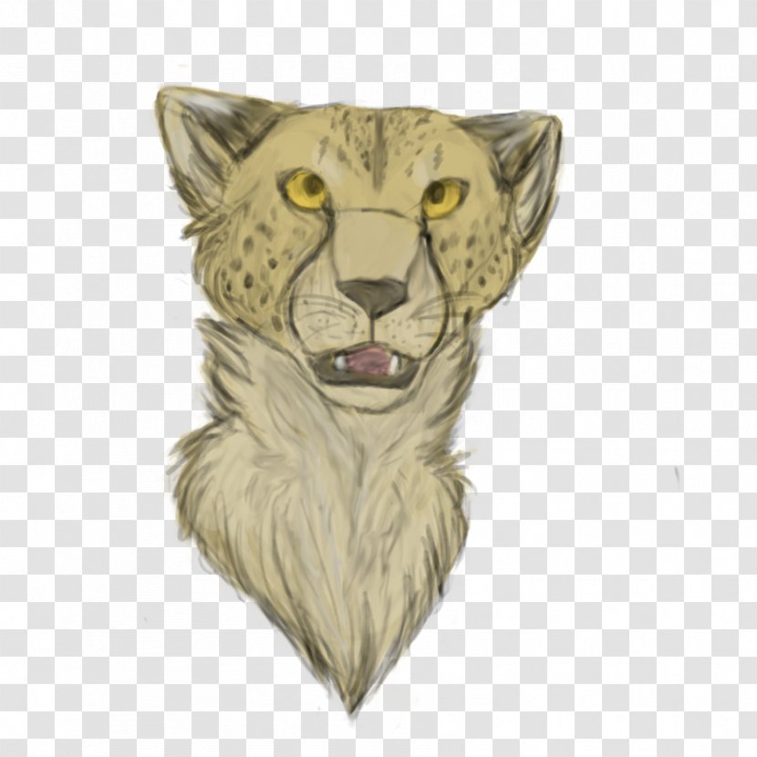 Whiskers Lion Cat Drawing Puma Transparent PNG