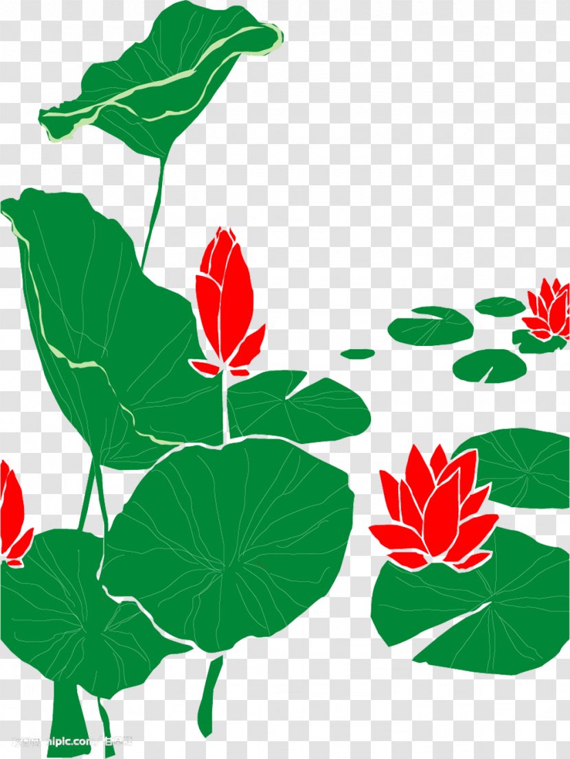 Drawing Nelumbo Nucifera Clip Art - Leaf - Cartoon Red Lotus Picture Material Transparent PNG